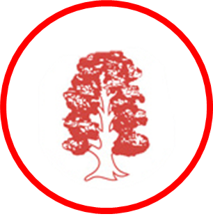 Elmtree Infant & Nursery School